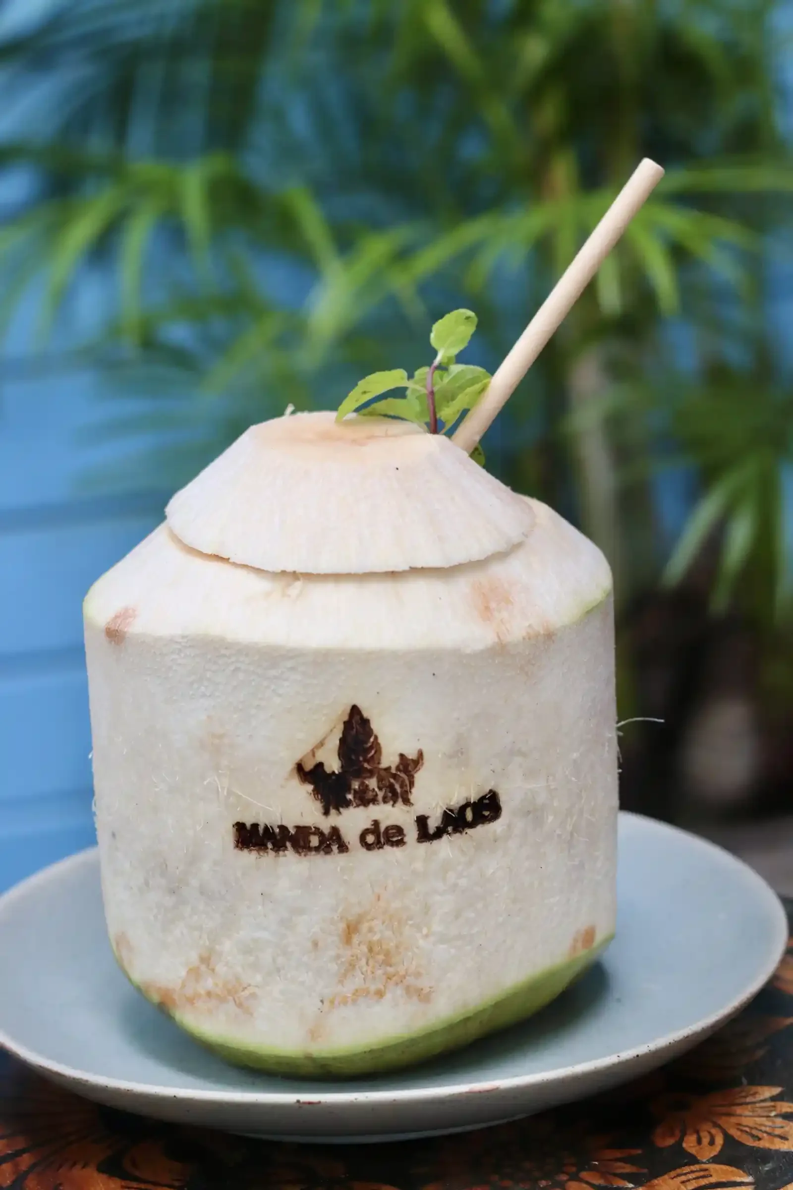 Coco Queen